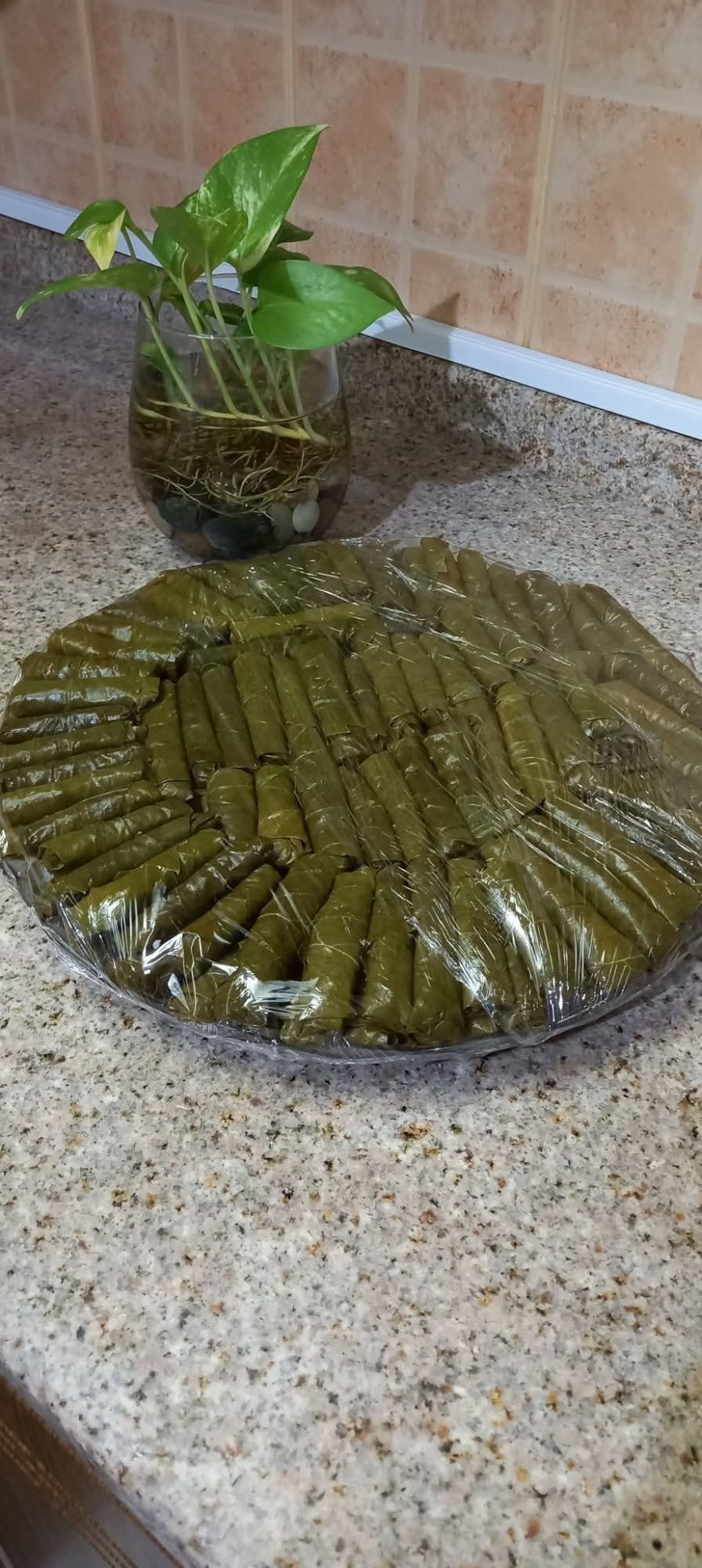 📲 اتصل دولياً في أي